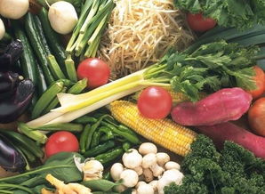 蔬菜價格加速回落，豬肉價格平穩(wěn)——食用農(nóng)產(chǎn)品批發(fā)市場動態(tài)分析