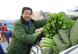 我國食用農(nóng)產(chǎn)品價格呈現(xiàn)小幅上漲態(tài)勢