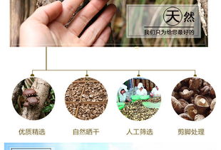 富農(nóng)園特級冬菇 福建山珍的優(yōu)質(zhì)之選