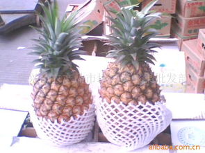 嘉興市農產品市場太康水果批發部 優質食用農產品的專業批發平臺