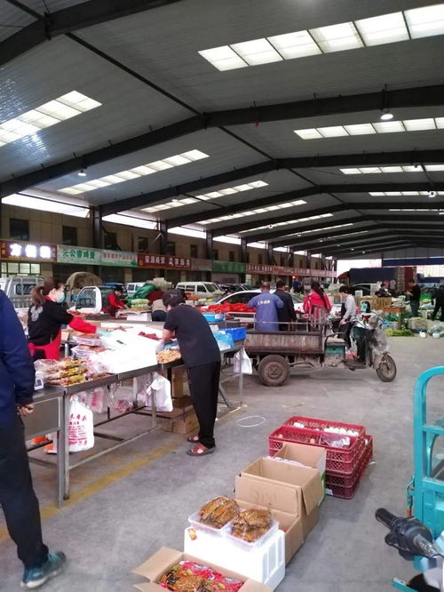 中貿農產品綜合批發(fā)市場 從基地到市場，蔬菜區(qū)一站式采購與每日參考價解析