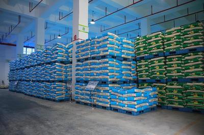 訂單引領，品牌賦能 四川豐裕公司助力大英打造“天府糧倉”食用農產品批發新高地