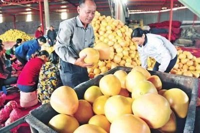 厲害了！湖北19個特產受國家保護，以你家鄉命名食用農產品批發